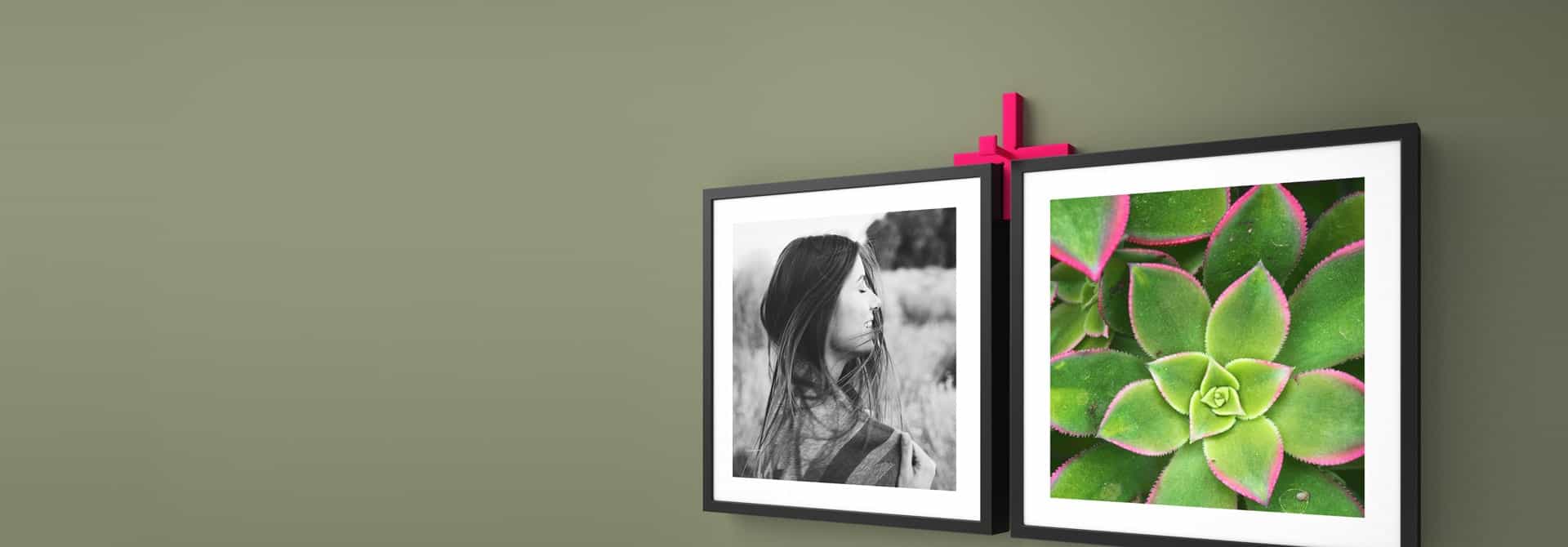 Polymer Frames. Supplied with a FREE handy spacer!